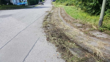 Miete Wildkrautbürste Moosentferner Tagesmietpreis